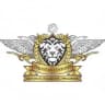 Pakistan Customs logo